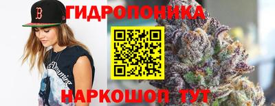 мдпв Жуковский